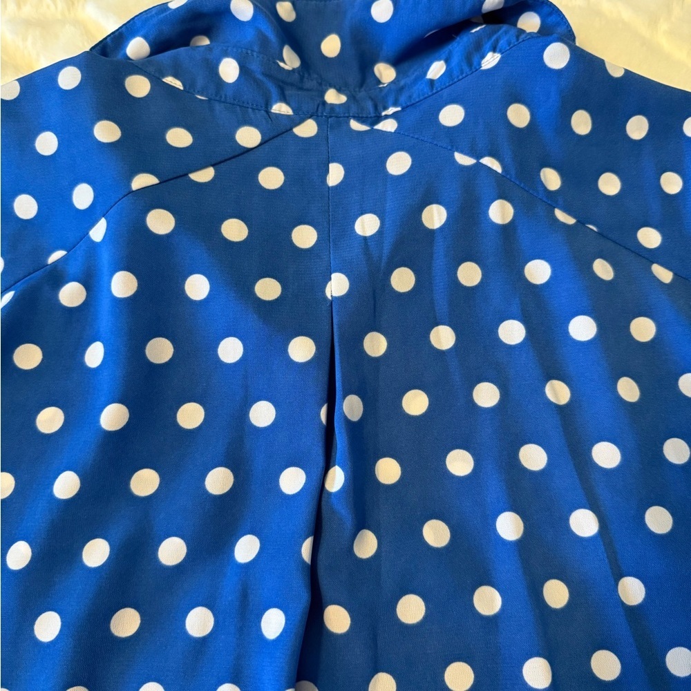 Susan Graver Blue and White Polka Dot Blouse - Picture 3 of 8